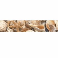 Бордюр Sea Breeze Shells бежевый 300*60 (20шт/уп), Голден Тайл