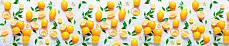 Фартук кухонный АБС-пластик Лимоны 1,5х600х2000мм